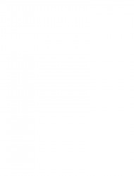 ירדן מנדלסון