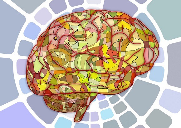psychbio criteria icon