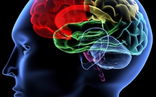 news brain depression