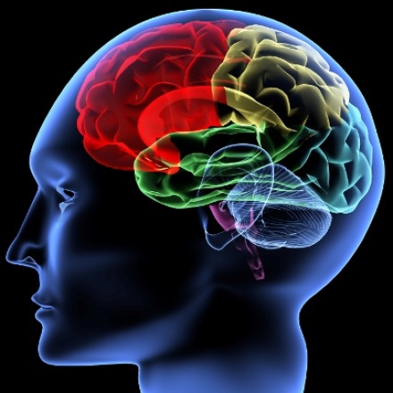 news brain depression